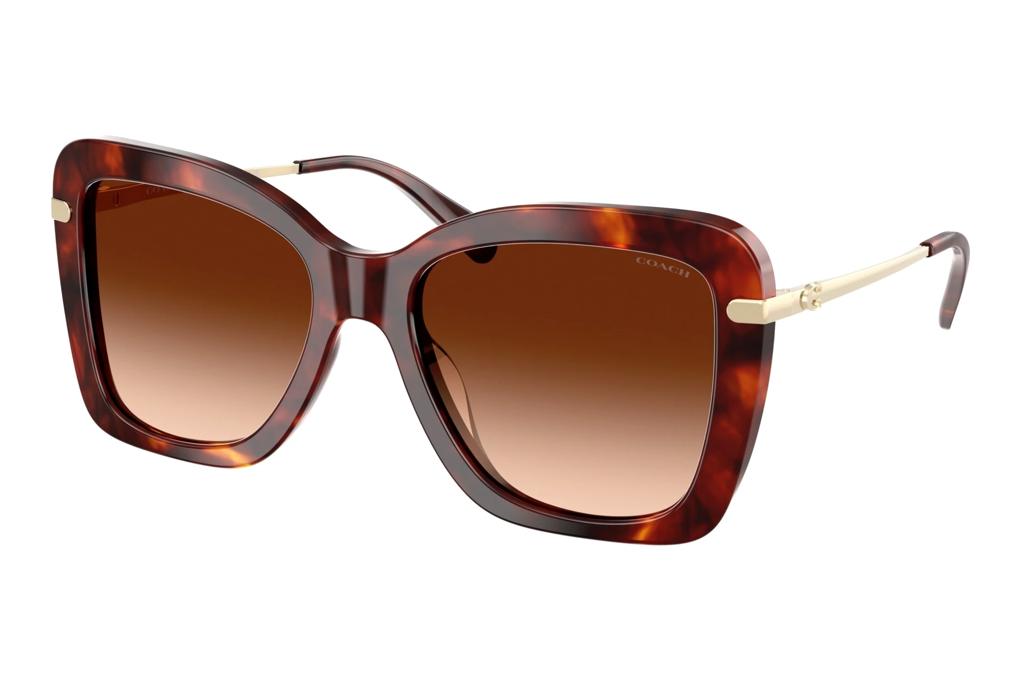 Coach HC8461U 593874 Brown GradientWalnut Tortoise Coach HC8461U 593874 Brown GradientWalnut Tortoise