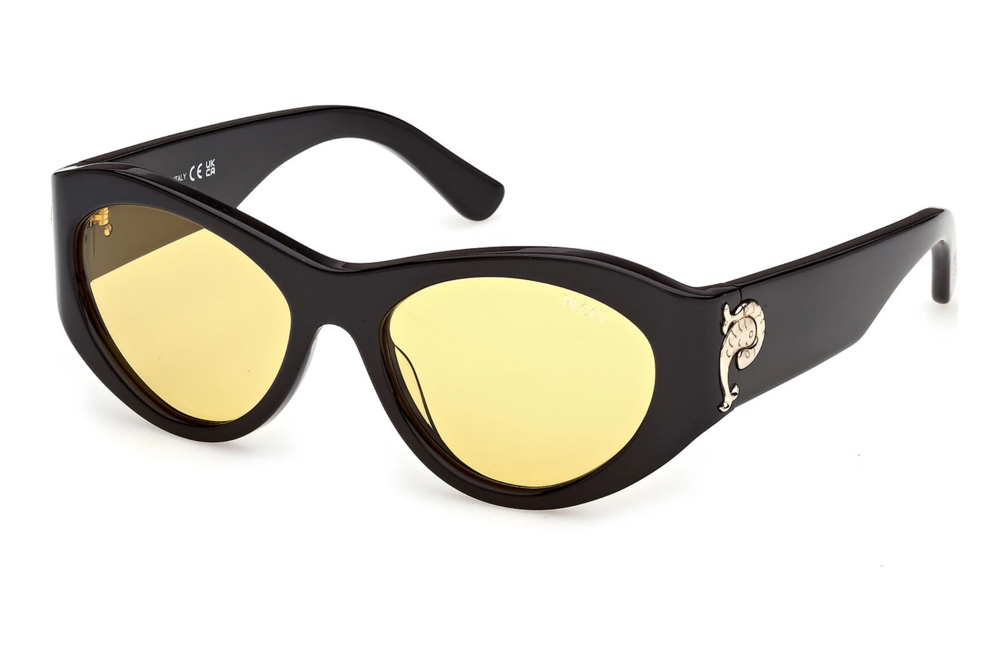 Emilio Pucci EP0249 01E IGlänzend Schwarz Emilio Pucci EP0249 01E IGlänzend Schwarz
