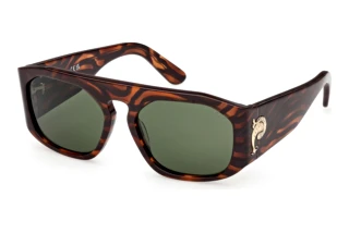 Emilio Pucci EP 0242 56N