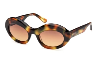 Emilio Pucci EP 0246 55F