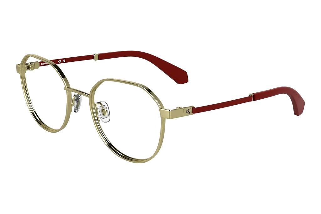 Calvin Klein   CKJ25304 717 GOLD GOLD