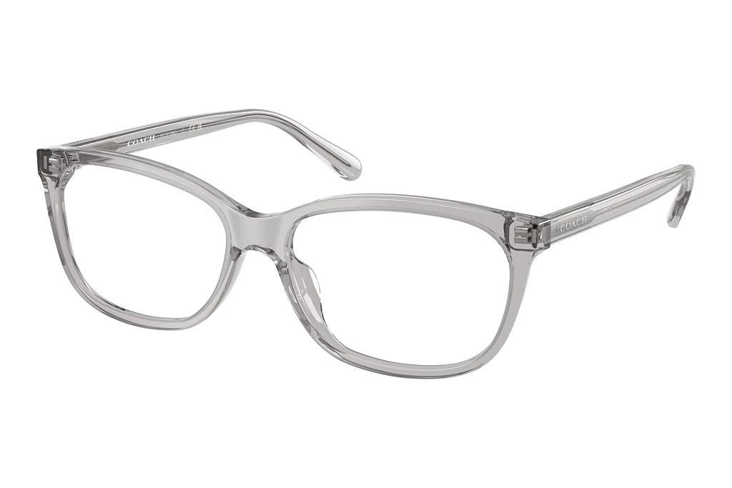 Coach   HC6139U 5176 Transparent Grey
