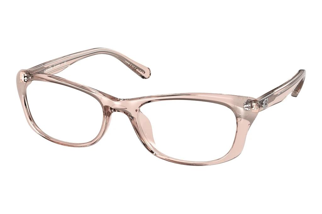 Coach   HC6164U 5575 Pink