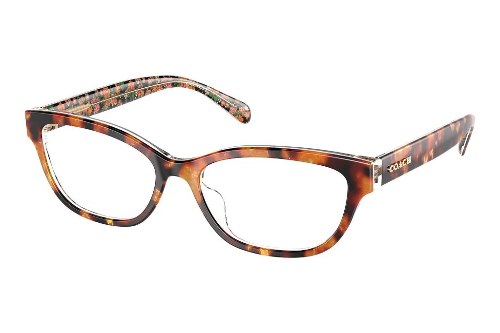 Coach   HC6250U 5857 Amber Tortoise/Orange Floral