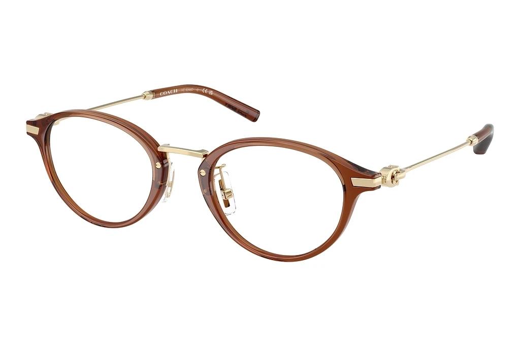 Coach   HC6268D 5888 Transparent Brown