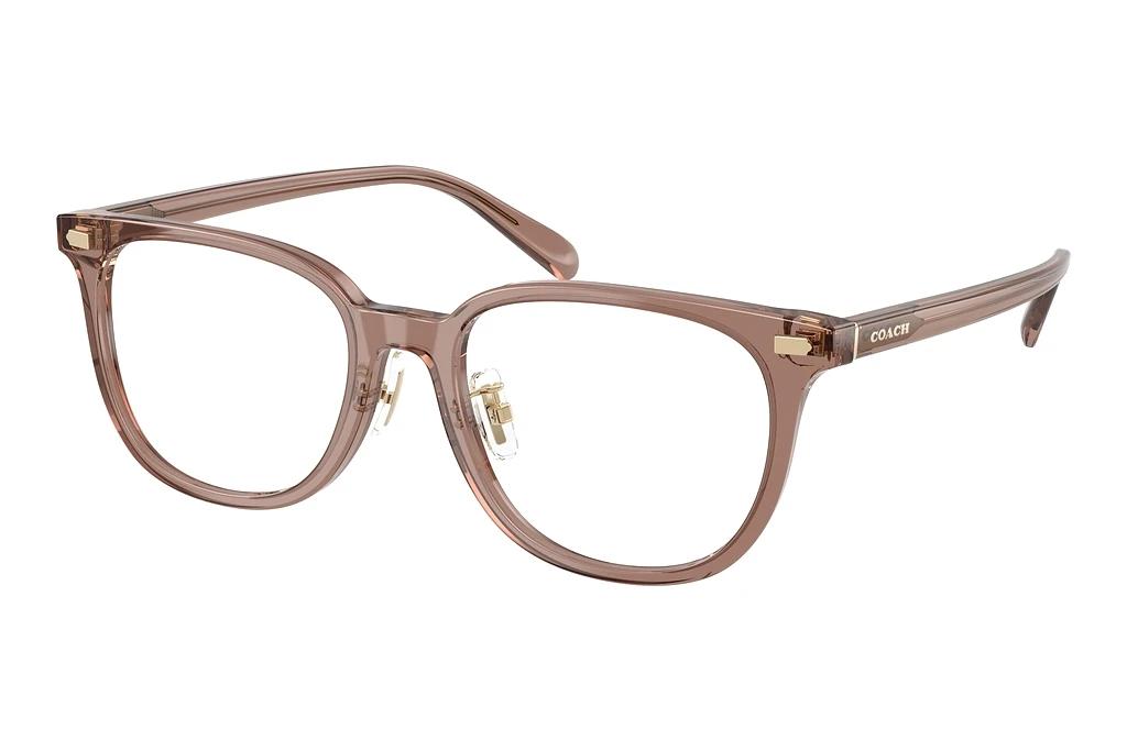 Coach   HC6269D 5819 Transparent Light Brown