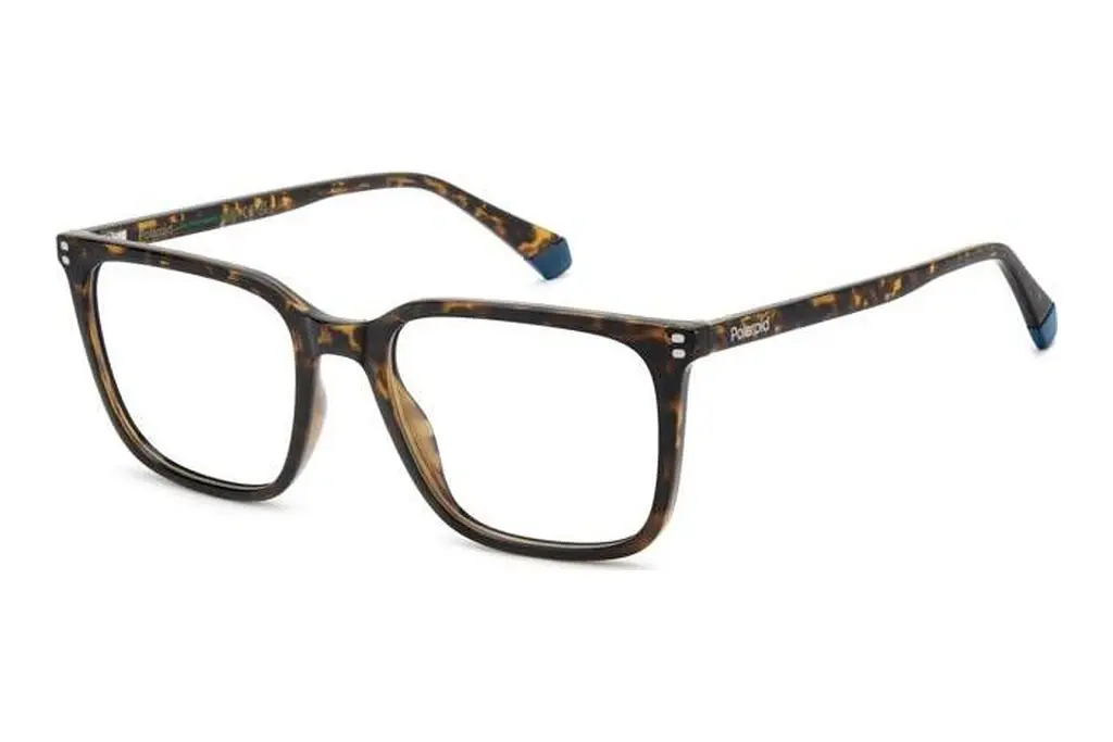 Polaroid   PLD D580 086 HAVANNA