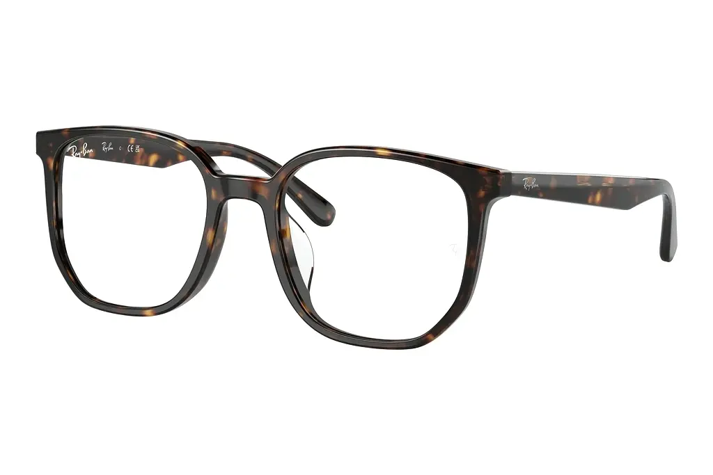 Ray-Ban   RX5411D 2012 Havana