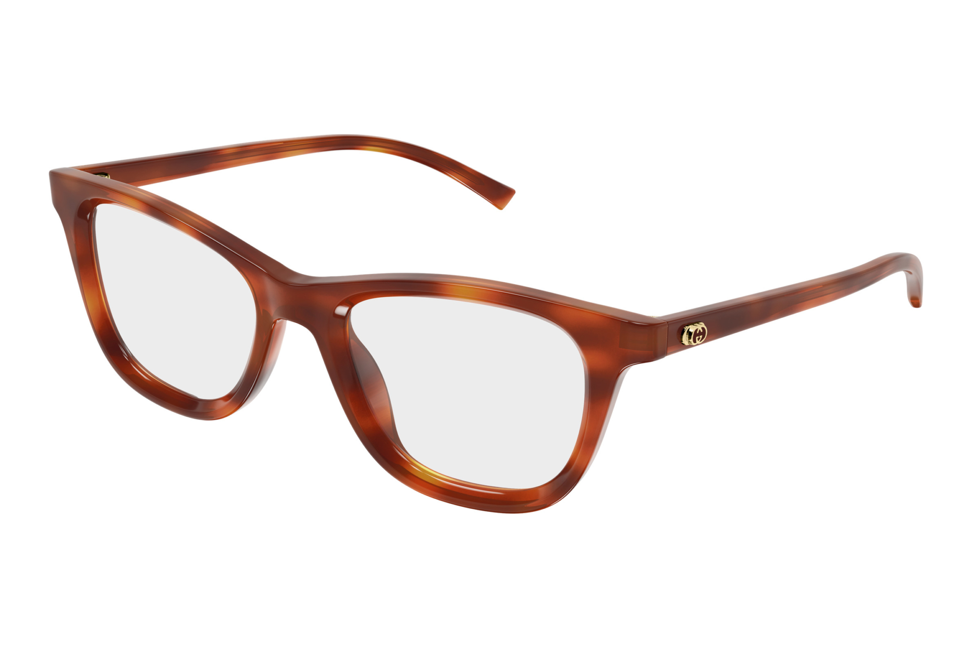 Gucci   GG1945O 002 HAVANA