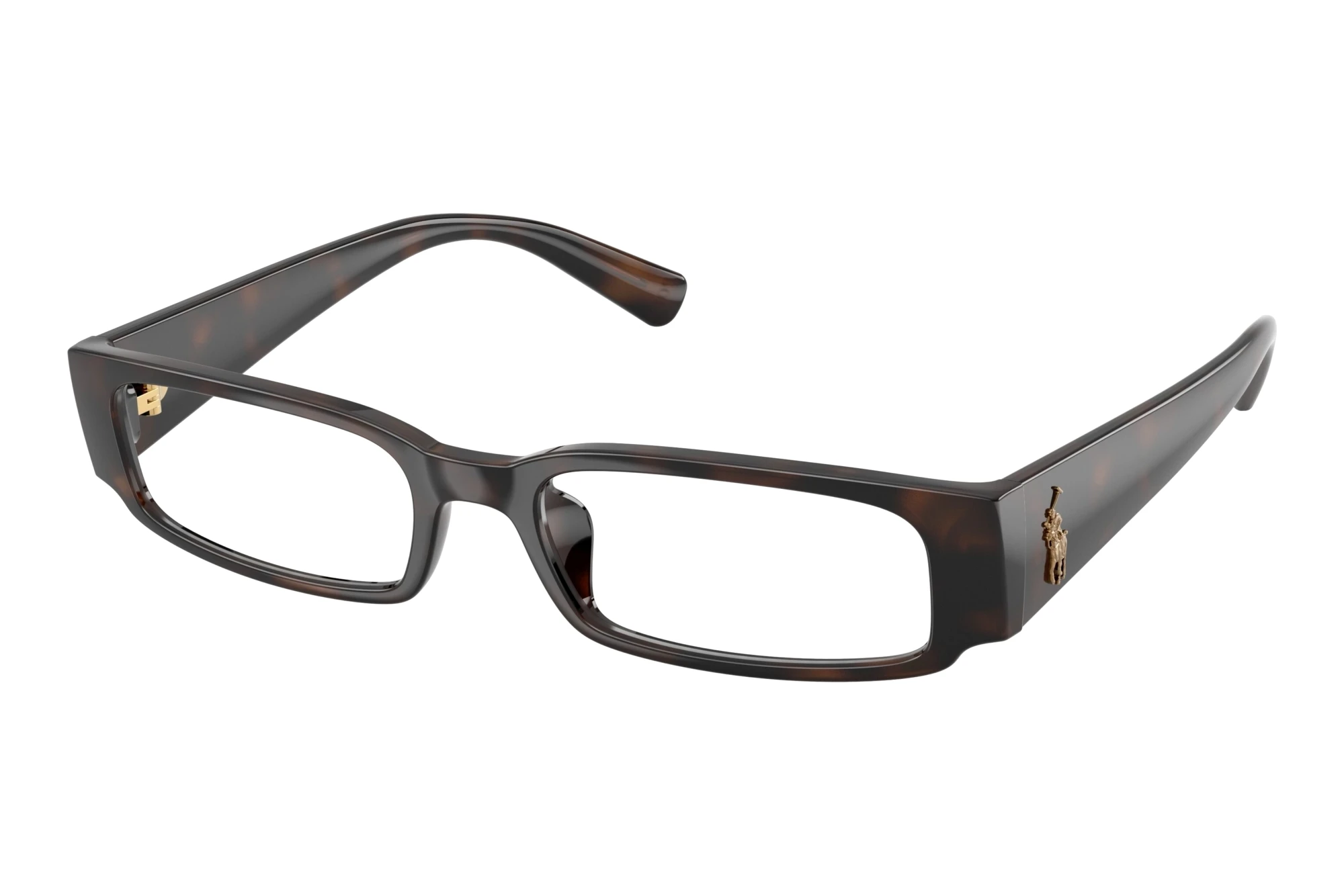 Polo   PH2312U 5860 Shiny Dark Havana