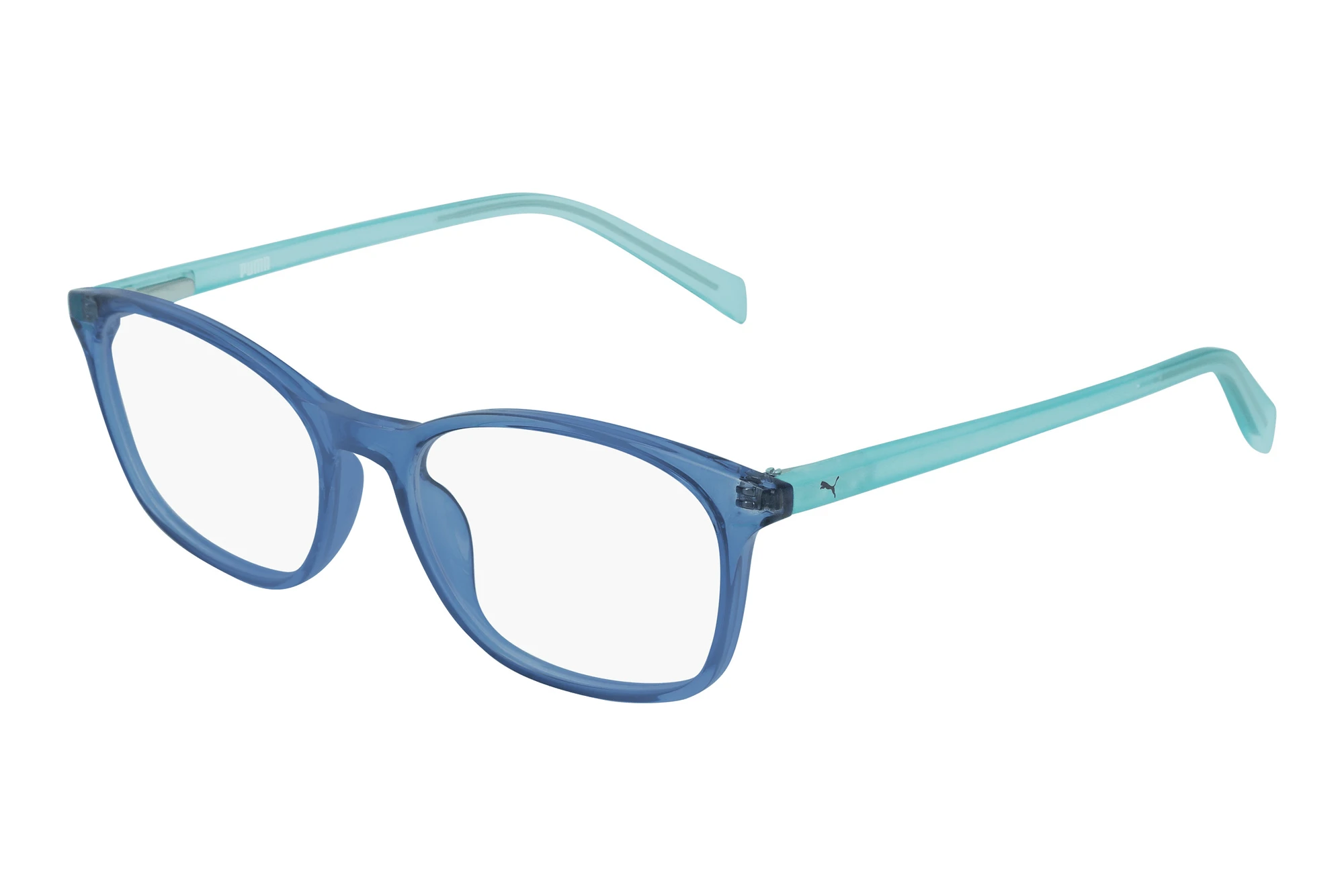 Puma   PJ0031O 006 BLUE