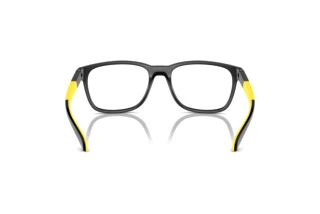 Achteraanzicht Arnette ORIBEE (AN7240U - 2904)