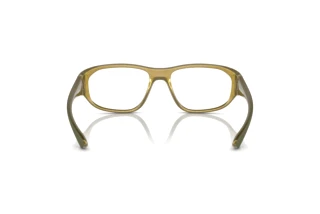 Achteraanzicht Arnette GAMOOR (AN7245 - 2924)