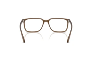 Achteraanzicht Arnette JECKO (AN7280 - 2997)
