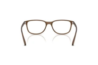 Achteraanzicht Arnette CRUMBLE (AN7281 - 2997)