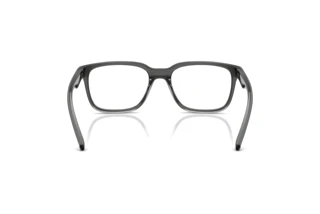 Achteraanzicht Arnette STEEK (AN7284 - 3009)