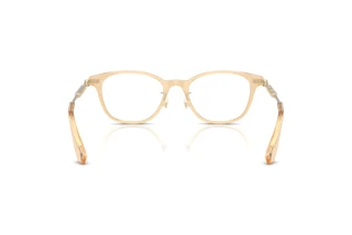 Achteraanzicht Burberry BE2423D (4063)