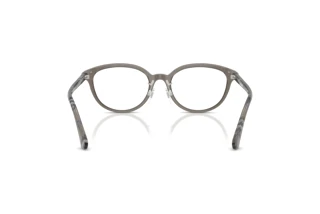 Achteraanzicht Burberry BE2435D (4160)