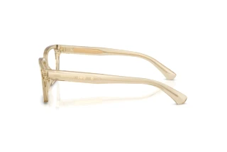 Zijaanzicht Burberry BE2453 (4226)