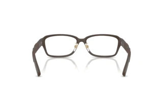 Achteraanzicht Burberry BE2461D (4234)
