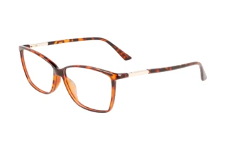 Vooraanzicht Calvin Klein CK21524 N (220)