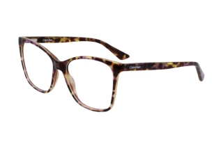 Vooraanzicht Calvin Klein CK23523 N (528)