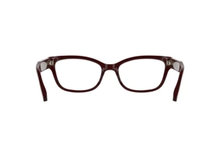 Achteraanzicht Calvin Klein CK25541 (605)
