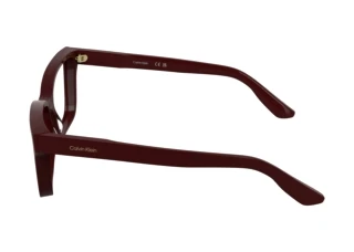 Zijaanzicht Calvin Klein CK25543 (606)