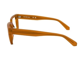 Zijaanzicht Calvin Klein CKJ24616 (201)
