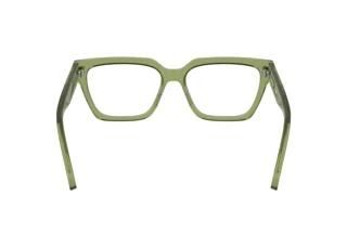 Achteraanzicht Calvin Klein CKJ25609 (746)