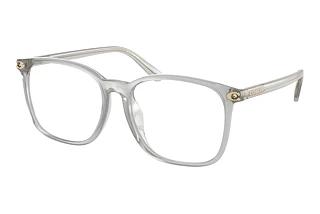 Coach HC6254BD 5614 Transparent Dove