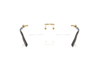 Achteraanzicht Dolce & Gabbana DG1361 (02)