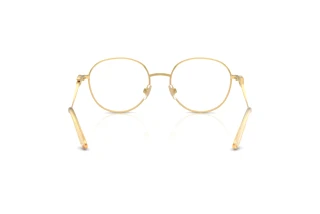 Achteraanzicht Dolce & Gabbana DG1365 (02)