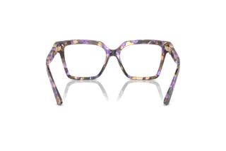 Achteraanzicht Dolce & Gabbana DG3395 (3439)