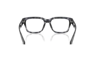 Achteraanzicht Dolce & Gabbana DG3416 (3445)