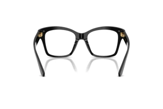 Achteraanzicht Dolce & Gabbana DG3419 (501)