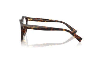 Zijaanzicht Dolce & Gabbana DG3421 (502)