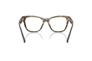 Achteraanzicht Dolce & Gabbana DG3430 (3299)
