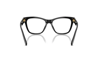 Achteraanzicht Dolce & Gabbana DG3430 (501)