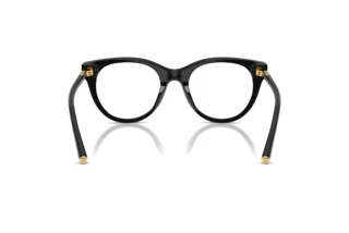 Achteraanzicht Dolce & Gabbana DG3433 (501)