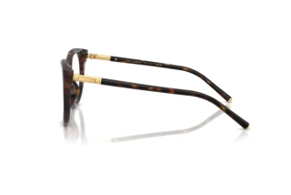 Zijaanzicht Dolce & Gabbana DG3433 (502)