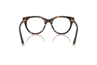 Achteraanzicht Dolce & Gabbana DG3433 (502)