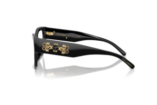 Zijaanzicht Dolce & Gabbana DG3435B (501)