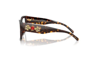 Zijaanzicht Dolce & Gabbana DG3435B (502)