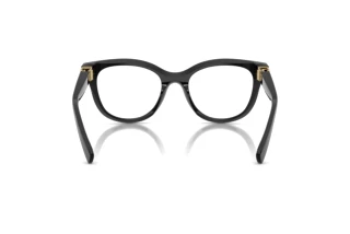 Achteraanzicht Dolce & Gabbana DG3437 (501)
