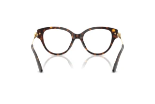 Achteraanzicht Dolce & Gabbana DG3438 (502)