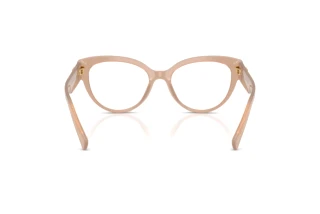 Achteraanzicht Dolce & Gabbana DG3440 (3042)
