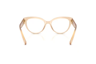 Achteraanzicht Dolce & Gabbana DG3440 (3089)
