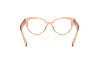 Achteraanzicht Dolce & Gabbana DG3440 (3226)