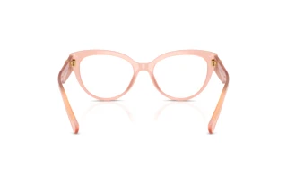 Achteraanzicht Dolce & Gabbana DG3440 (3384)